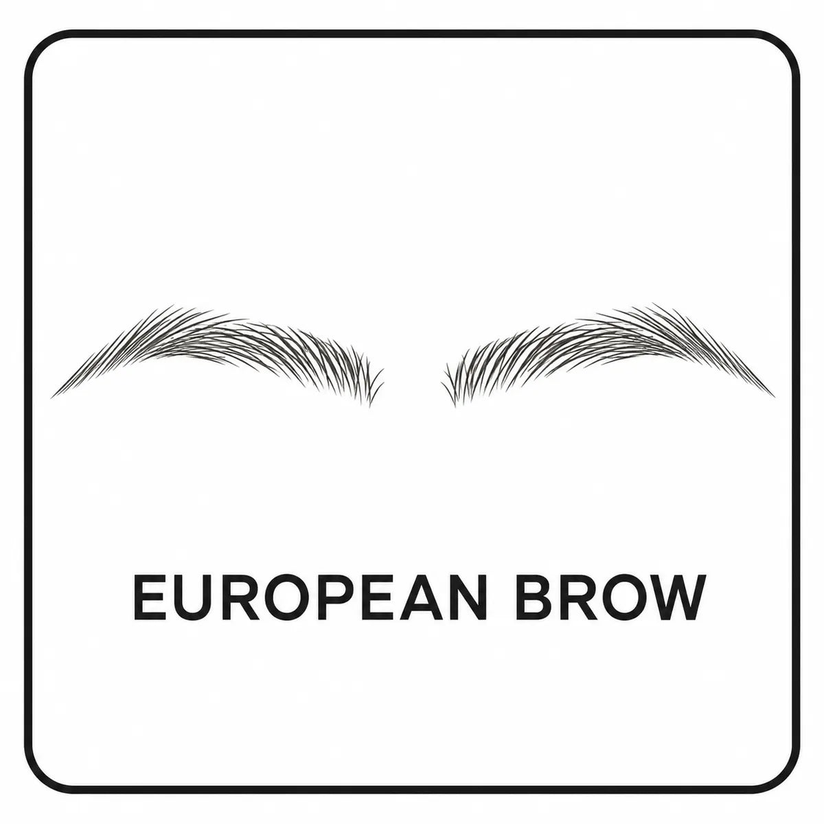 Dluvivo® BrowForm Brow Stamp Kit
