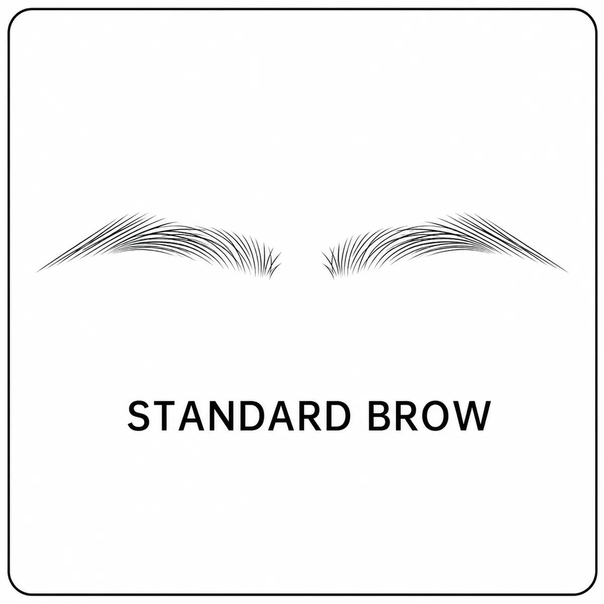 Dluvivo® BrowForm Brow Stamp Kit